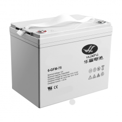 Аккумулятор для штабелёров IWS/PWS/WS 12V/75Ah гелевый (Gel battery), шт