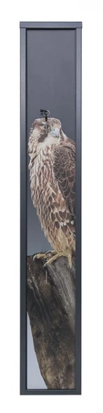 Оружейный сейф Беркут PRINT