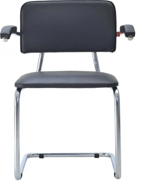 Сильвия АРМ стул DO CH