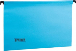 ПАПКИ FP FS (1/25-син) 25 шт