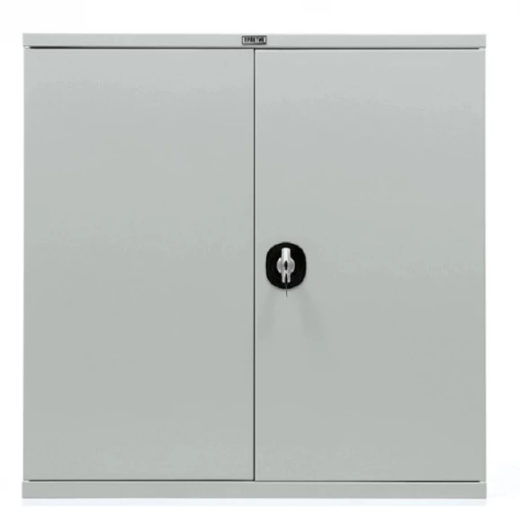 Шкаф Практик СВ-21